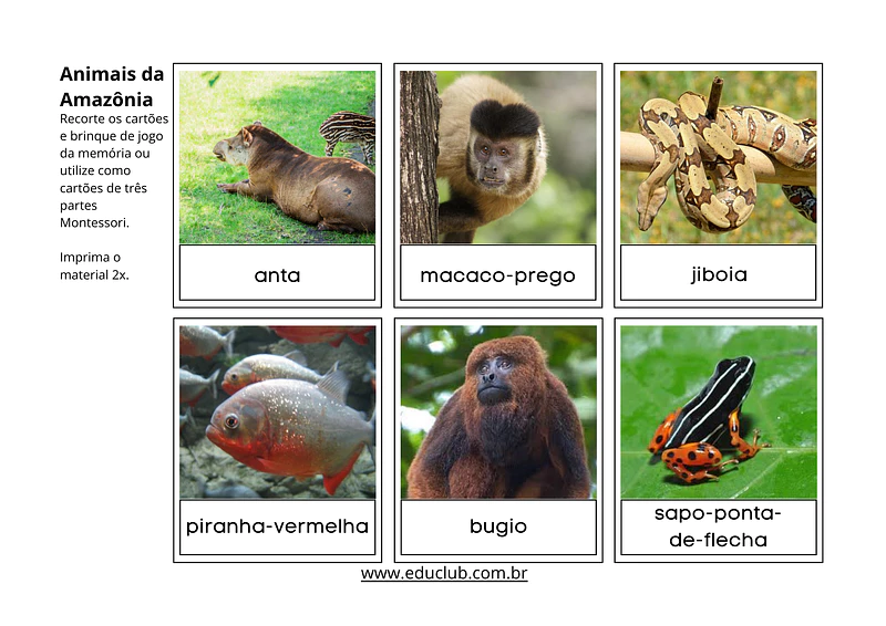 Animais da Amazônia para imprimir | Educlub